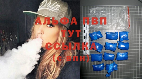Альфа ПВП Верея