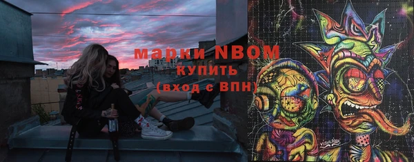 Альфа ПВП Верея