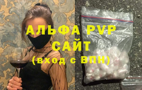 Альфа ПВП Верея