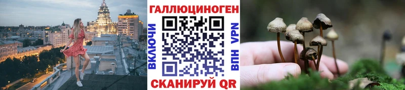 Купить закладки  Барабинск  Галлюциногенные грибы Psilocybe 